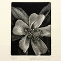 13. Untitled (Columbine)