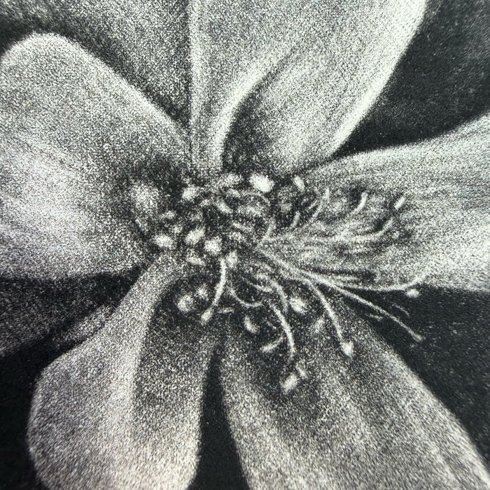 13. Untitled (Columbine)