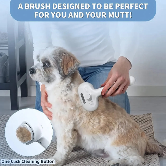 2 in 1 Pet Spray Hair Removal Comb