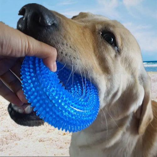 2 Pack Dog Toys – Bite-Resistant Squeaky Chew Balls