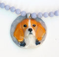 351. Beagle