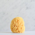 All-Natural Sea Sponge