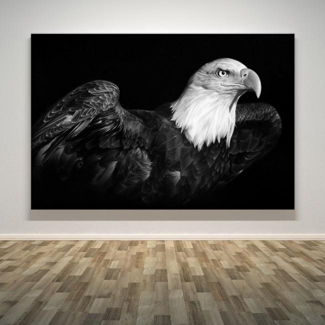 "American Pride"