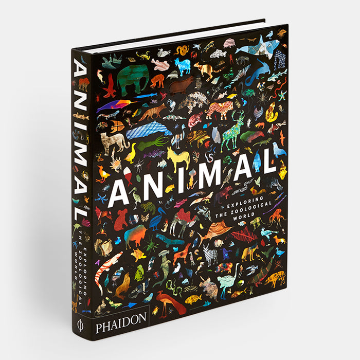 Animal: Exploring the Zoological World