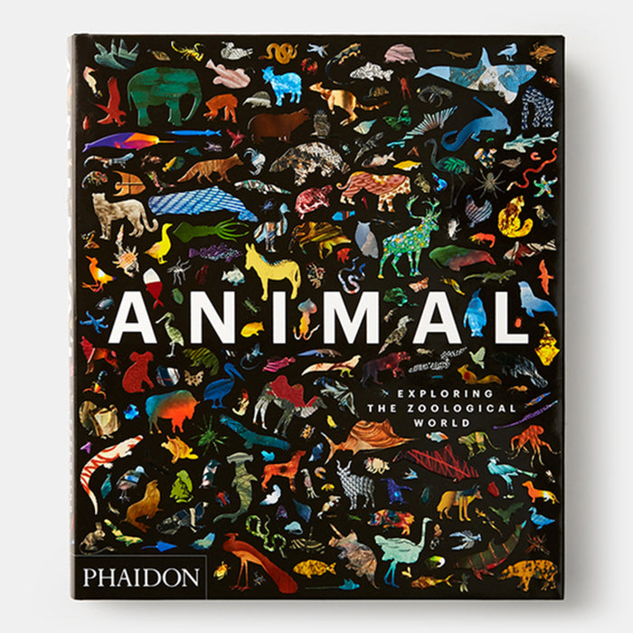 Animal: Exploring the Zoological World