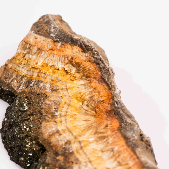 Barite w/ Pyrite - Slab