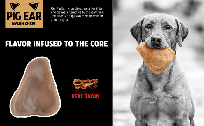 A dog grips a BarkBone Natural Instincts Nylon Pig Ear in its mouth. The toy reads Flavor Infused to the Core and Real Bacon. Designed for aggressive chewers, its a durable, healthier option than real pig ears, promoting dental health as they chew.