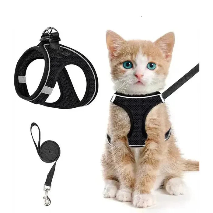 Breathable Adjustable Pet Harness & Leash Set