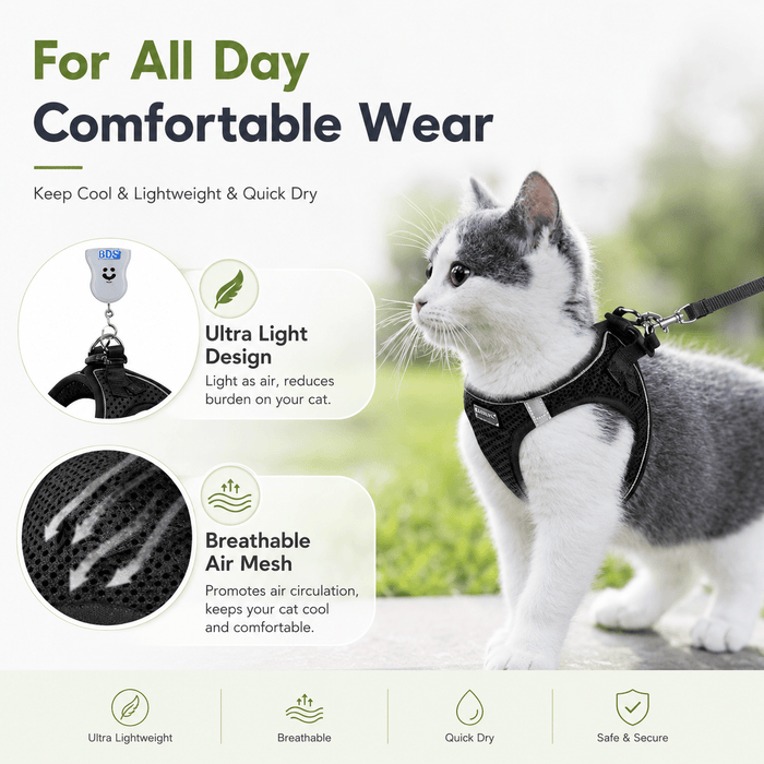 Breathable Adjustable Pet Harness & Leash Set