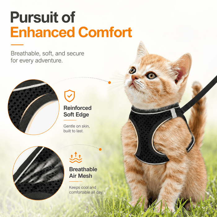 Breathable Adjustable Pet Harness & Leash Set