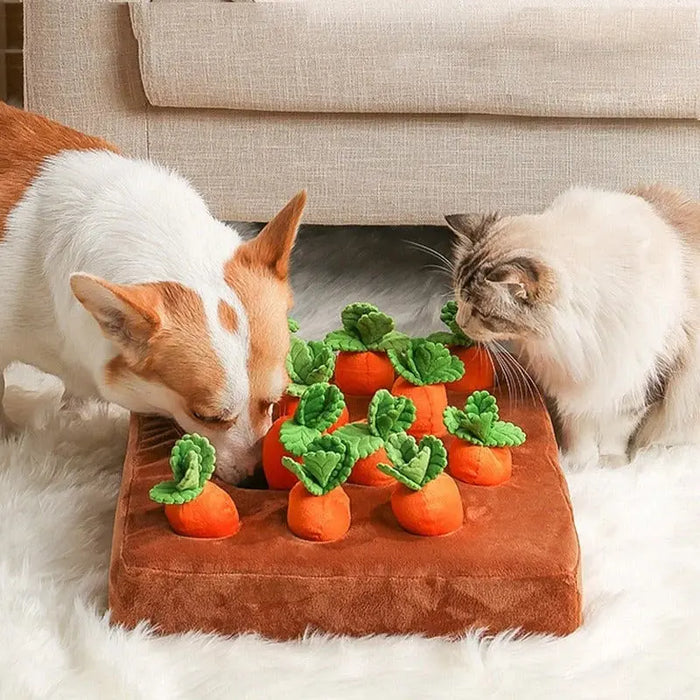 Carrot Garden Interactive Treat-Hiding Toy for Dogs