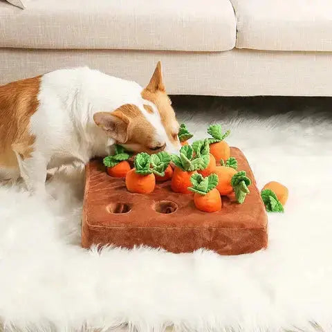 Carrot Garden Interactive Treat-Hiding Toy for Dogs