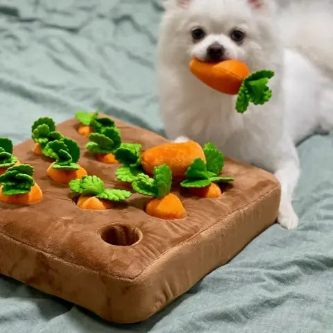 Carrot Garden Interactive Treat-Hiding Toy for Dogs