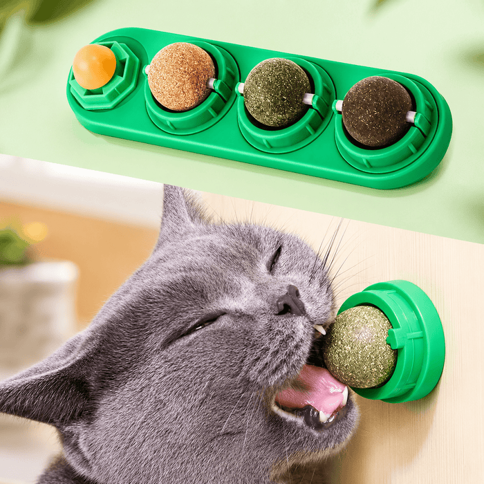 Catnip & Silvervine Cat Toy Balls – 4PCS