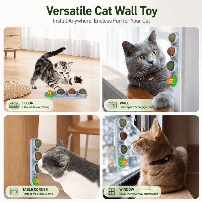 Catnip & Silvervine Cat Toy Balls – 4PCS