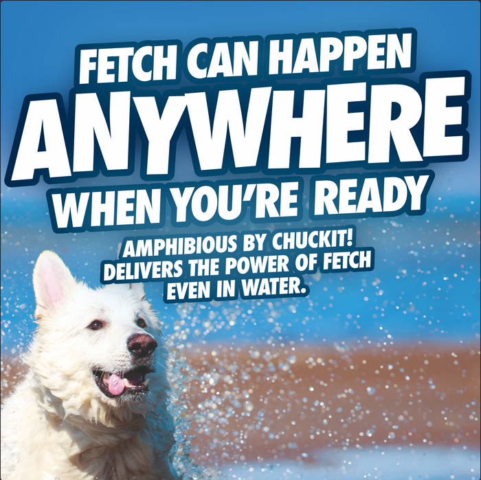 A wet, joyful white dog plays in the water at the beach. Large text reads: Fetch can happen ANYWHERE when you’re ready. The Chuckit! Amphibious Fetch Value Pack by Chuckit! brings powerful fetch fun—even in water.