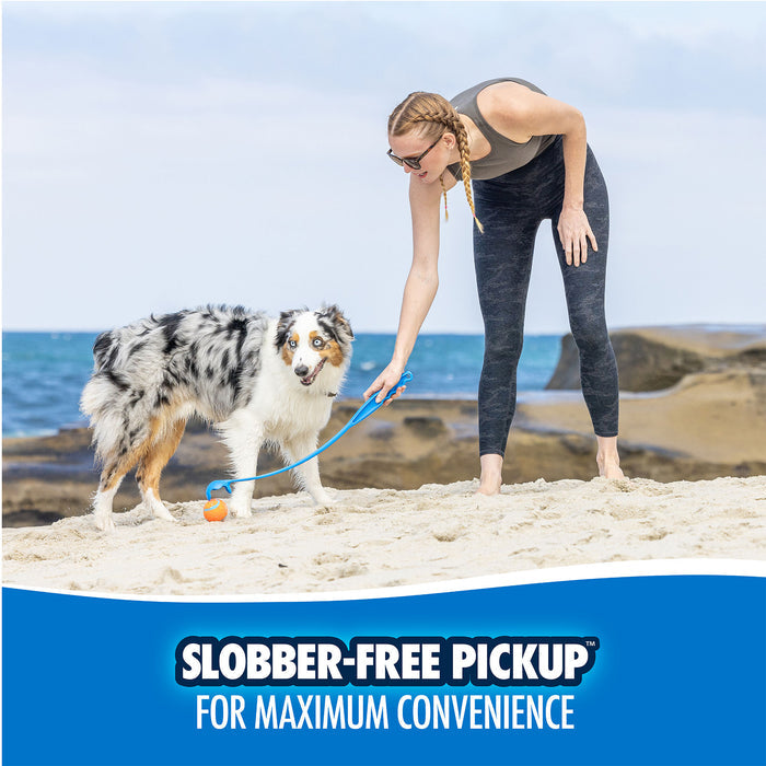 On a sandy beach, a woman uses the Chuckit! Classic Dog Ball Launcher by Chuckit! for hands-free pickup of an orange ball near her Australian Shepherd. Text below reads: Slobber-Free Pickup for Maximum Convenience.