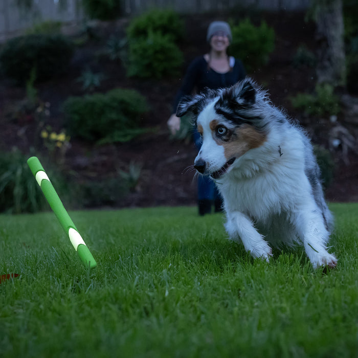 A playful dog chases a Chuckit! Day & Night Ultra Fetch Stick from Chuckit! on the grass, with a smiling person blurred in the garden background.