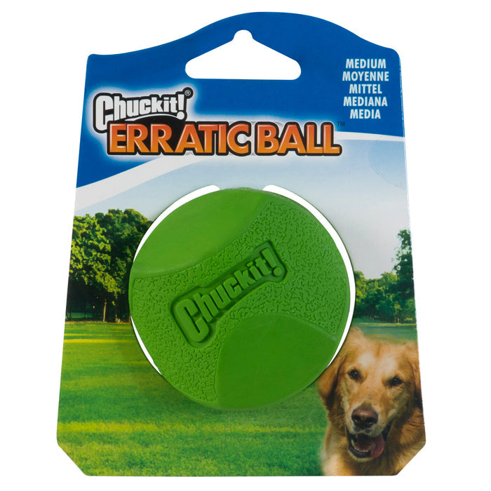 The medium Chuckit! Erratic Ball Dog Toy by Chuckit! is displayed in a park setting with a golden retriever, showcasing its durable rubber build and unpredictable bounce.