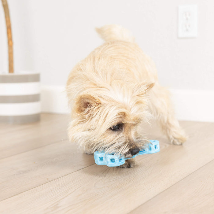 A small, light brown dog is playing indoors on a wooden floor, happily holding a Chuckit! Hol-ee Bone dog toy by Chuckit! in its mouth.