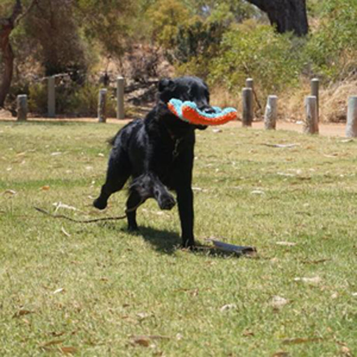 A black dog runs on grass with the Chuckit! Indoor Flying Squirrel by Chuckit! in its mouth. Trees and wooden posts are visible in the background on a sunny day.