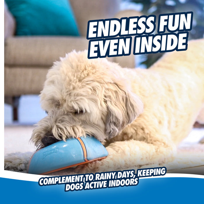 A fluffy dog enjoys the Chuckit! Indoor Super Slider Dog Toy from Chuckit! at home. Text reads: Endless fun inside—perfect for rainy days, keeping dogs active and entertained indoors.