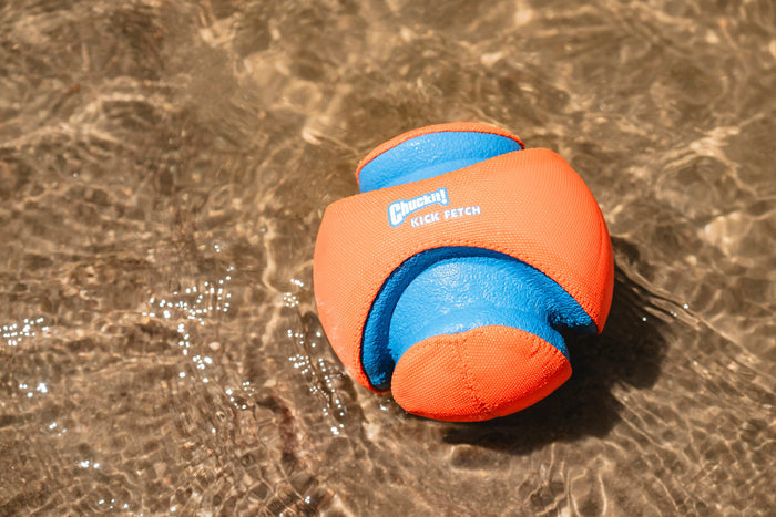 A blue and orange Chuckit! Kick Fetch Dog Toy by Chuckit! floats on clear shallow water, creating ripples and casting shadows on the sandy bottom.