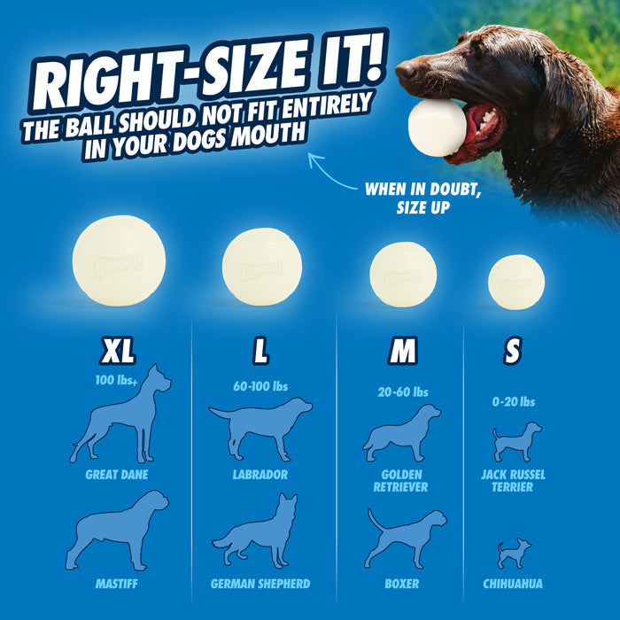 Infographic of dog ball sizes with breed images, recommending Chuckit! Max Glow Fetch Ball by Chuckit!—XL for Great Danes, S for Chihuahuas, and more—for safe play with a durable, glowing ball.