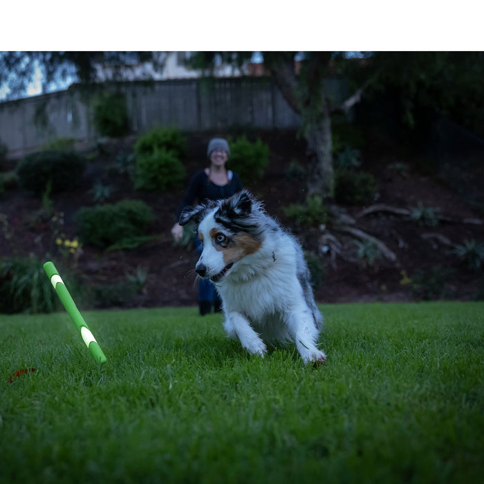 A black, white, and brown dog runs across green grass toward a glowing green Chuckit! Max Glow Ultra Fetch Stick by Chuckit!, with a smiling person in a beanie blurred in the background.