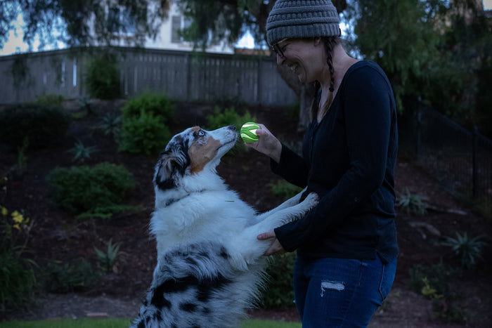 A woman in a beanie and glasses smiles at a standing Australian Shepherd, holding a Chuckit! Max Glow Ultra Squeaker Ball by Chuckit! near its nose in a park-like setting.