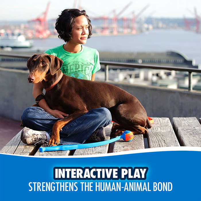 Seated on a bench outdoors with their Doberman, someone holds the Chuckit! Pro Launcher by Chuckit!. Behind them, water and cranes are visible. Text: “Interactive play strengthens the human-animal bond.”.