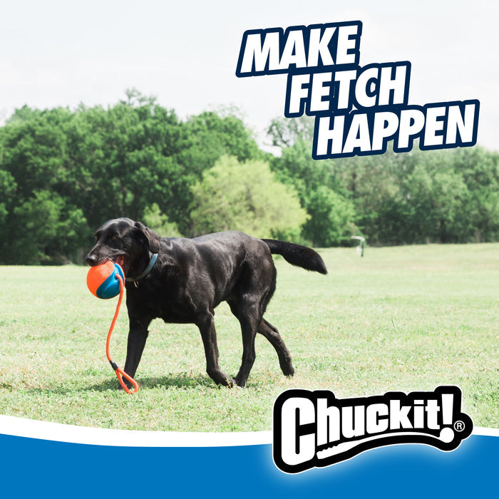 A black dog carries a blue and orange Chuckit! Rope Fetch Dog Toy with a handle in its mouth while walking on grass. The text "MAKE FETCH HAPPEN" appears, with the Chuckit! brand shown at the bottom.