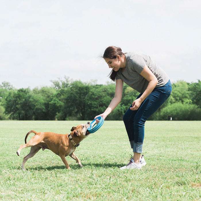 A woman in a gray shirt and jeans plays tug-of-war with a brown dog using the Chuckit! Rugged Fetch Wheel by Chuckit! in a grassy field with trees behind them.