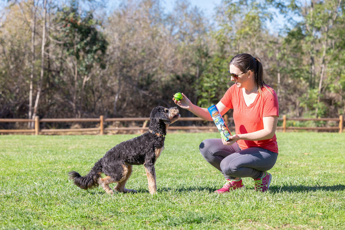 A woman in a red shirt kneels on the grass, holding a Chuckit! Sniff Ball 4 Pack, as a black and brown dog sits eagerly in front of her at the park on a sunny day.