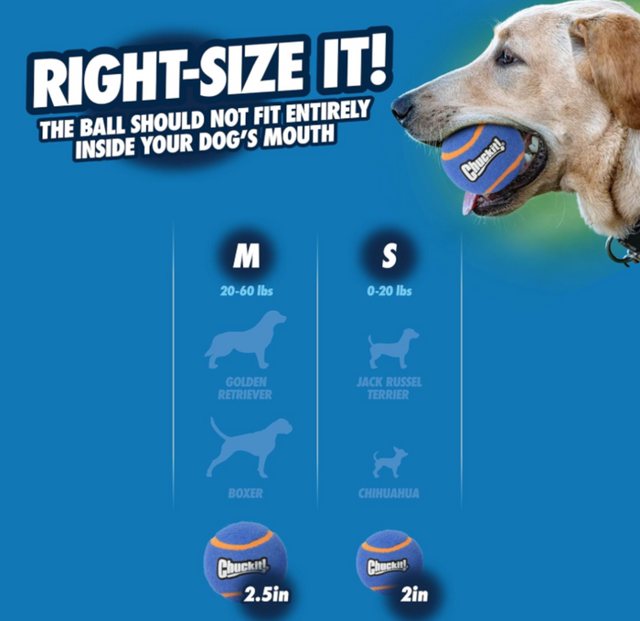 A dog holds a blue and orange Chuckit! Squeaker Tennis Ball in its mouth. The image compares sizes: 2.5" for medium dogs (20–60 lbs) and 2" for small dogs (0–20 lbs), both fit Chuckit! Launchers. Comes in a 2 pack.