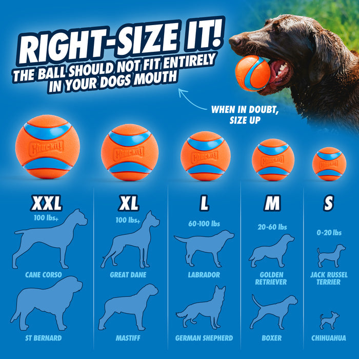 A size chart for Chuckit! Ultra Ball Dog Toy by Chuckit! shows ball sizes (XXL, XL, L, M, S) with recommended breeds and weights; the top right corner features a dog holding this durable toy in its mouth.