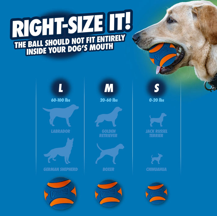 A large dog holds a Chuckit! Fetch Medley Gen 3 ball in its mouth. Below, a chart shows Chuckit! ball sizes: L for 60-100 lbs, M for 20-60 lbs, S for 0-20 lbs, with breed examples listed for each size.
