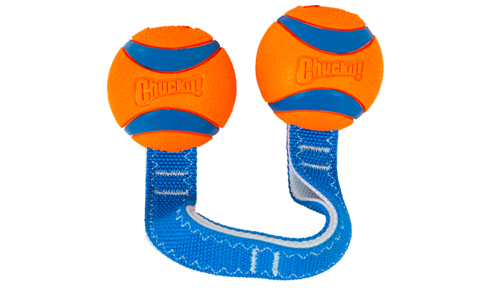 The Chuckit! Ultra Duo Tug Dog Toy Med by Chuckit! features two orange rubber balls with blue stripes, joined by a blue and white strap for durable, interactive play.