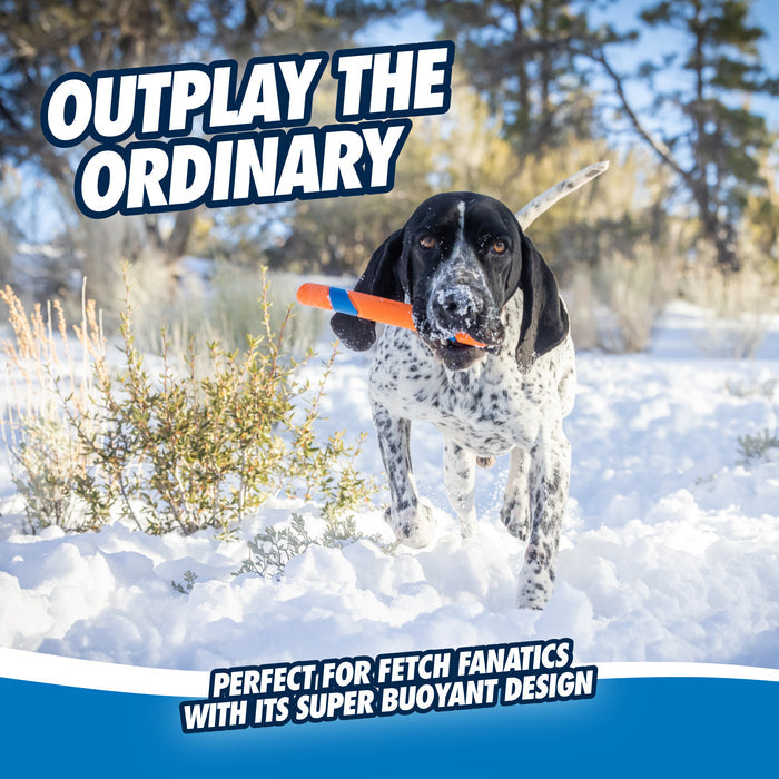 A spotted dog runs across snowy ground with a Chuckit! Ultra Fetch Stick by Chuckit! in its mouth. Bold text says OUTPLAY THE ORDINARY, and the caption highlights its durable fetch toy design—perfect for fetch fanatics.