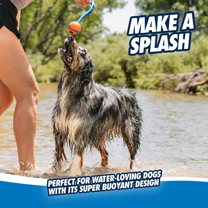 A wet, happy dog stands in shallow water, gazing at a person holding the Chuckit! Ultra Tug Dog Toy by Chuckit!—a tough toy perfect for water-loving pups and tug-of-war. Text: MAKE A SPLASH and ideal for ball play. Trees and blue sky complete the scene.