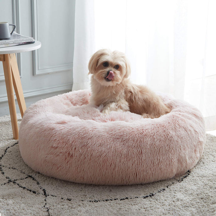 Pink / X-Small