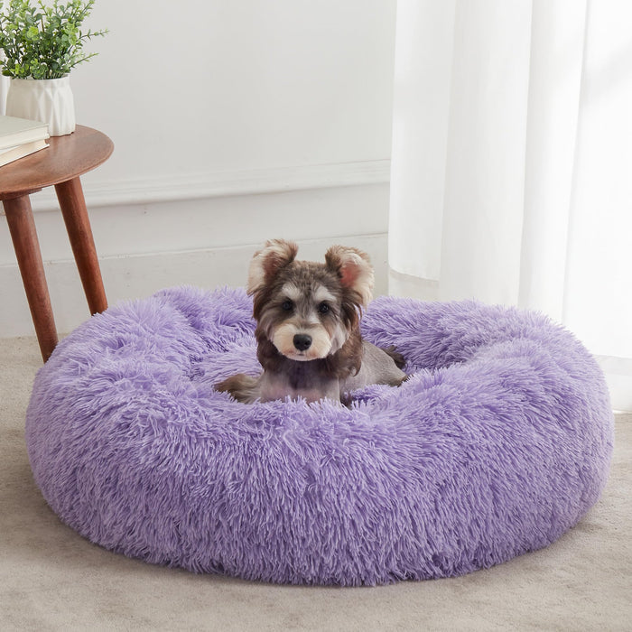 Purple / X-Small