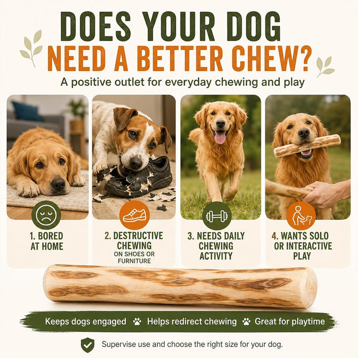 Coffee Wood Dog Chew Toy – Natural Long-Lasting Chewing Stick for Dogs Fursera