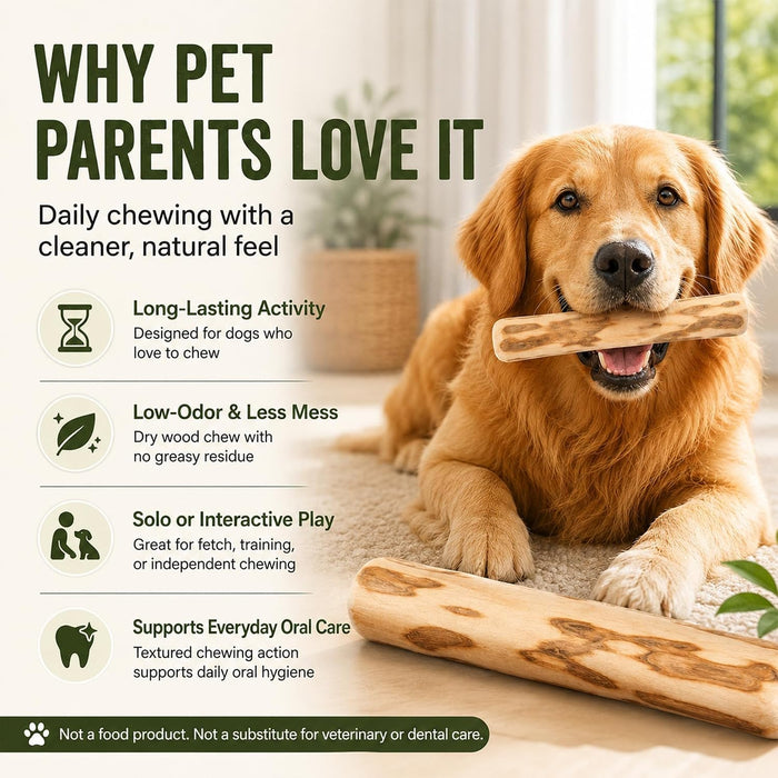 Coffee Wood Dog Chew Toy – Natural Long-Lasting Chewing Stick for Dogs Fursera