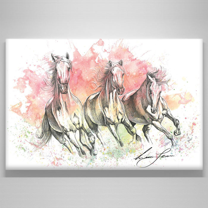 "Colours of the Wild"