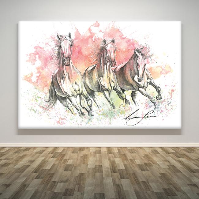 "Colours of the Wild"