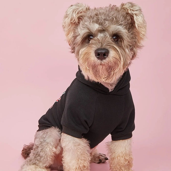 Cute Dog Hoodie – Warm Pet Apparel for Small & Medium Dogs
