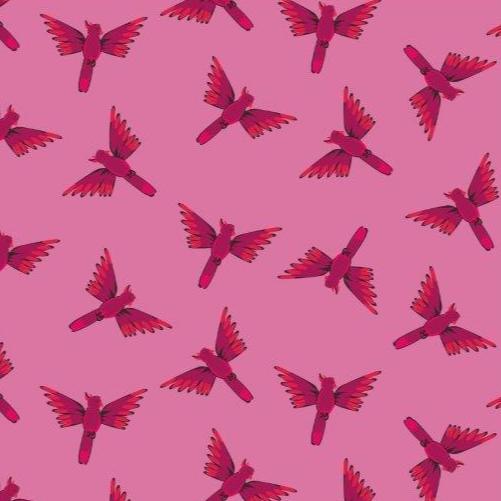 Dashwood Studio- JUNG.1646 Night Jungle