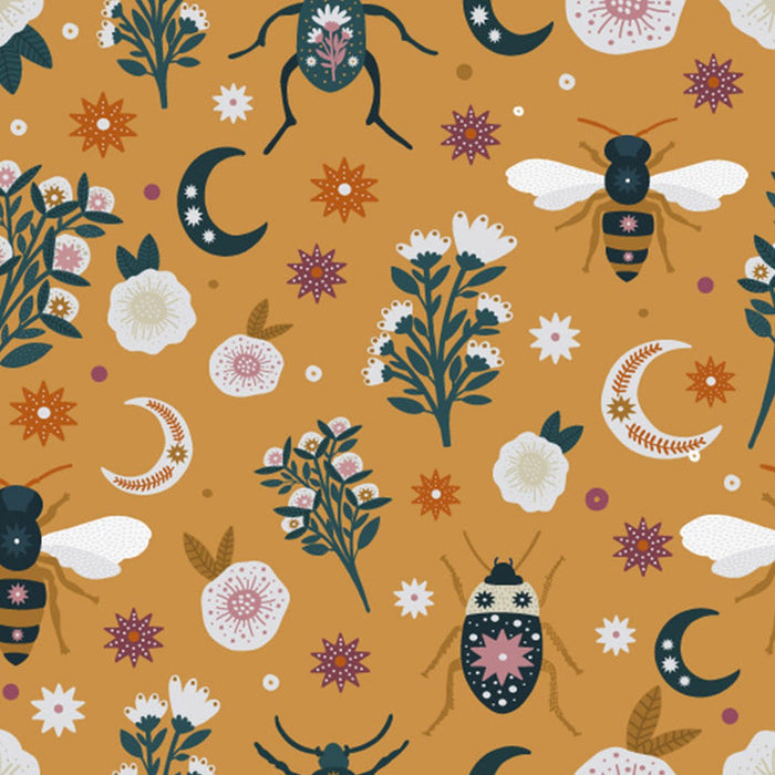 Dashwood Studio -Night & Day- NDAY.2021