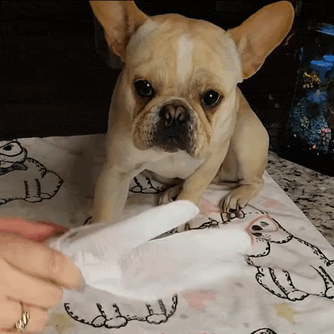 Deodorizing Pet Glove Wipes (18-Pack) Mud- Free Paws